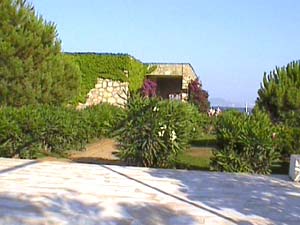 ����� Kids club 2004, ����