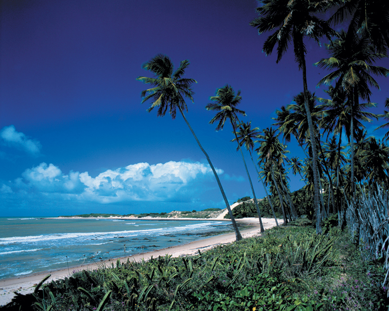 ����� Pestana Natal, ����