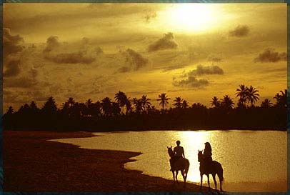 ����� Praia Do Forte Eco Resort, ����