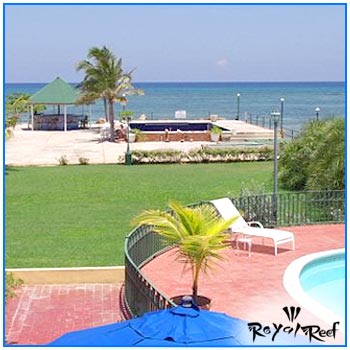 ����� Royal Reef, ����