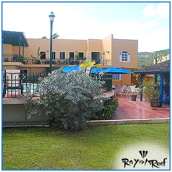 ����� Royal Reef, ����