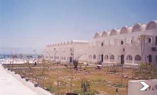 ����� Tango Beach Resort Taba, ����