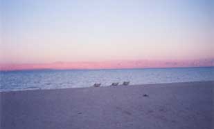 ����� Tango Beach Resort Taba, ����