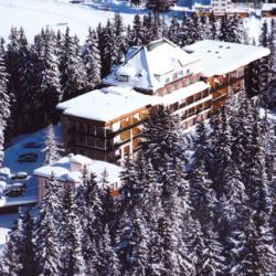 ����� Waldhotel National, ����
