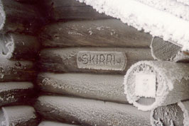 ����� Skirri �������, ����