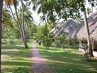 ����� Marari Beach Resort, ����