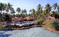����� Marari Beach Resort, ����