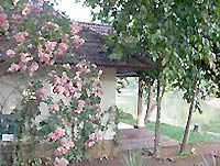 ����� Taj Garden Retreat Kumarakom, ����