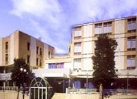 ����� Palace, ����