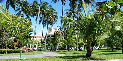 ����� Blue Tree Park Cabo de Santo Agostinho, ����