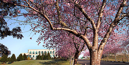 ����� Blue Tree Park Mogi das Cruzes, ����