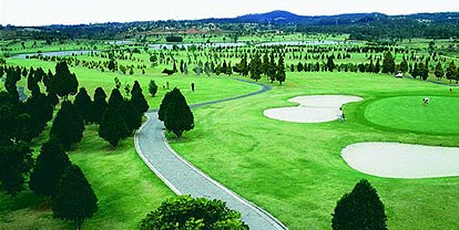 ����� Blue Tree Park Mogi das Cruzes, ����