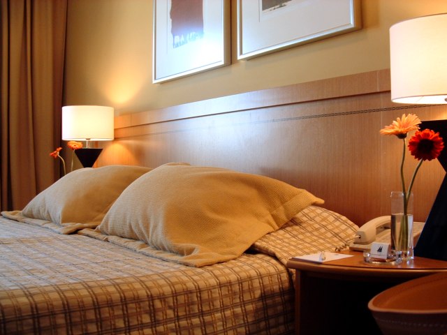 ����� Marina Palace, ����