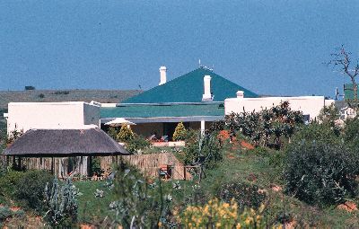 ����� Shamwari Bushmans River Lodge, ����