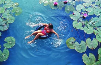 ����� Rogner Hotel & Spa Lotus Therme, ����