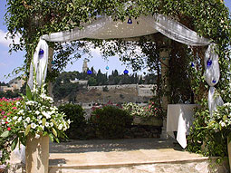 ����� Mount Zion, ����