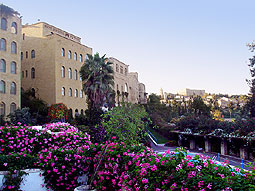 ����� Mount Zion, ����