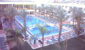 ����� Palmira, ����