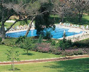 ����� Carmel Forest Spa Resort, ����