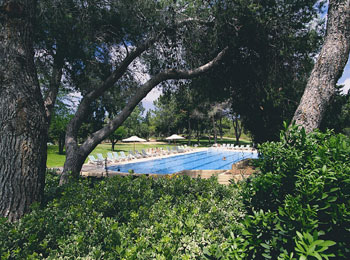 ����� Carmel Forest Spa Resort, ����