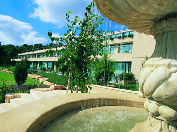 ����� Carmel Forest Spa Resort, ����