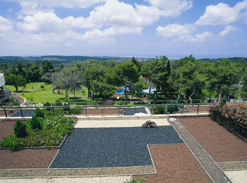 ����� Carmel Forest Spa Resort, ����