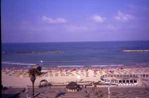 ����� Prima Astor, ����