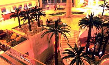 ����� Le Meridien Dead Sea, ����