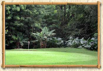 ����� Koro Sun Resort, ����