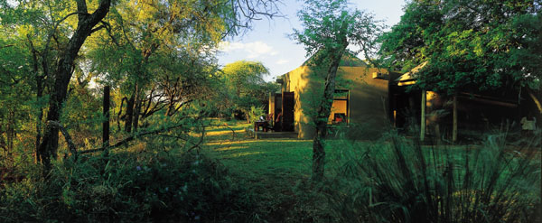 ����� Sabi Sabi Bush Lodge, ����