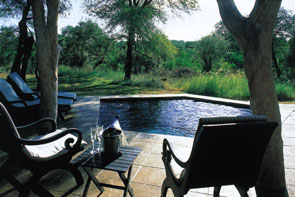 ����� Sabi Sabi Bush Lodge, ����