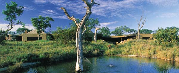 ����� Sabi Sabi Earth Lodge, ����