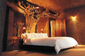 ����� Sabi Sabi Earth Lodge, ����