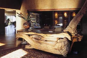 ����� Sabi Sabi Earth Lodge, ����