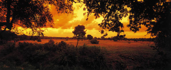 ����� Sabi Sabi Selati Camp, ����