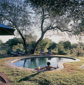 ����� Djuma Bush Lodge, ����