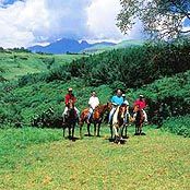 ����� Drakensberg Sun, ����