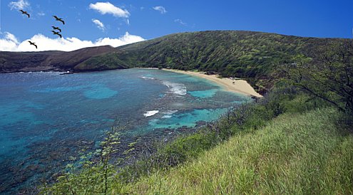 ����� Halekulani, ����