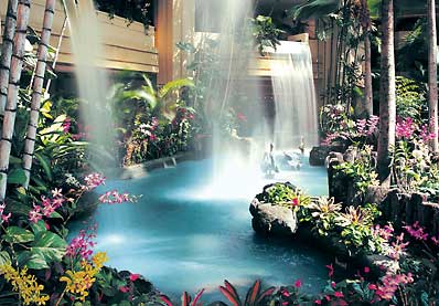 ����� Hyatt Regency Waikiki, ����