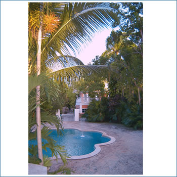 ����� Graycliff, ����
