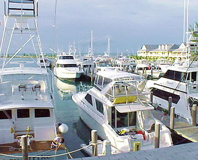 ����� Old Bahama Bay, ����