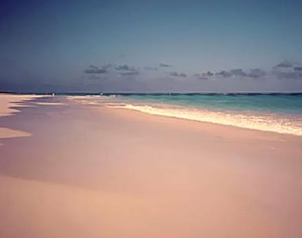 ����� Pink Sands, ����
