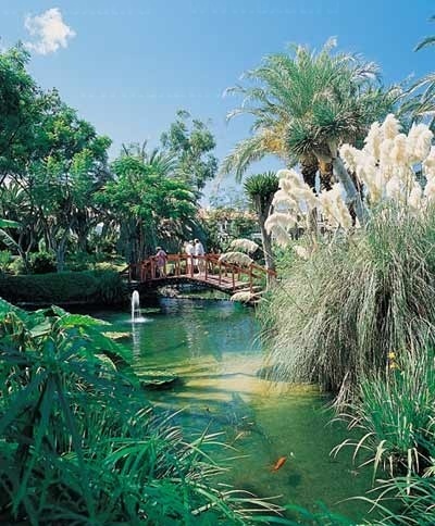 ����� Botanico, ����