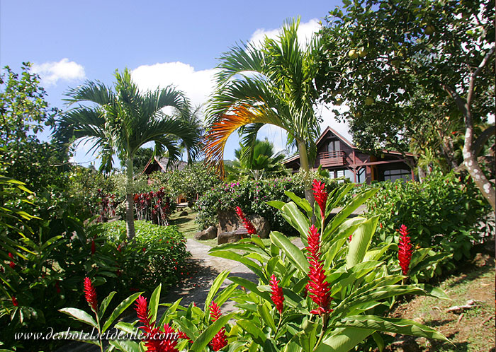 ����� Le Jardin Malanga, ����