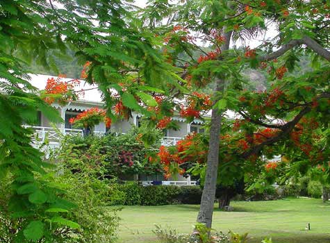 ����� Hawksbill Beach Resort, ����