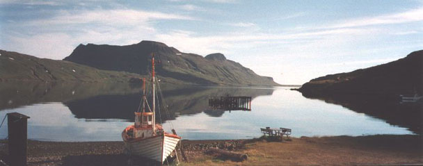����� Djupavik, ����
