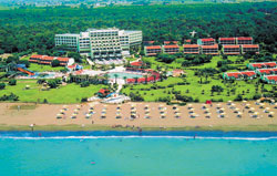 ����� Sun Zeynep, ����