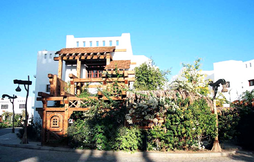 ����� Delta Sharm, ����