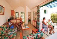����� Beach Flor, ����