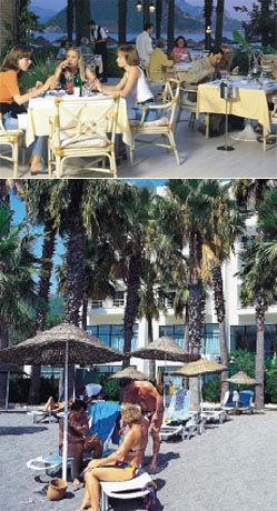 ����� Laguna, ����